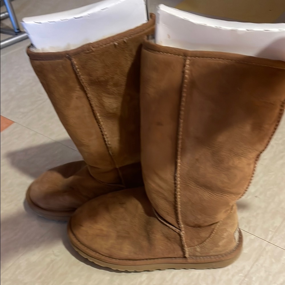 UGG Chestnut Suede Boots